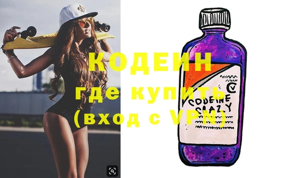 индика Пересвет