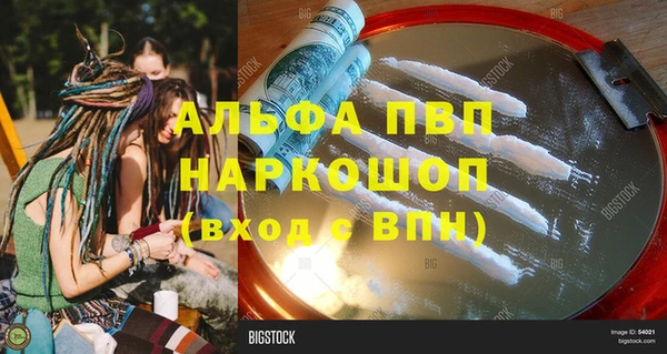 индика Пересвет