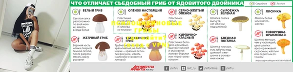 индика Пересвет