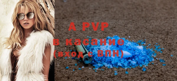индика Пересвет
