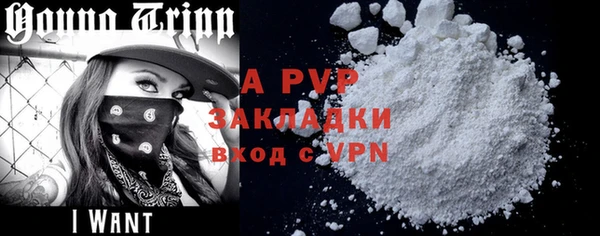 индика Пересвет