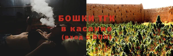 индика Пересвет