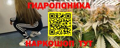 ГАЛЛЮЦИНОГЕННЫЕ ГРИБЫ Заволжье