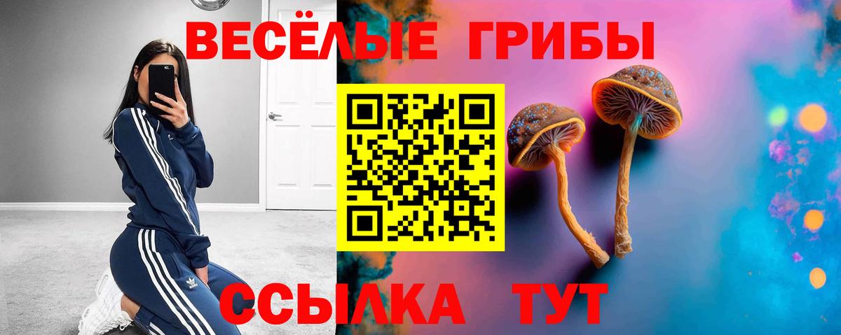 Галлюциногенные грибы Magic Shrooms Мытищи