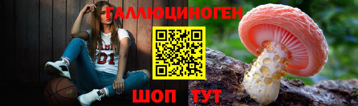 Псилоцибиновые грибы Psilocybe  Вход с VPN  Мытищи 