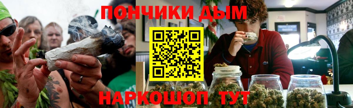 Бошки Шишки планчик  Канабис гибрид  Вход с VPN  Шишки марихуана семена  Мытищи 