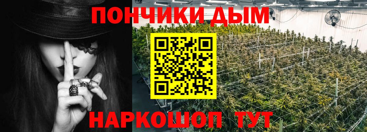 Конопля индика  Шишки марихуана Ganja  Мытищи  Шишки марихуана THC 21% 